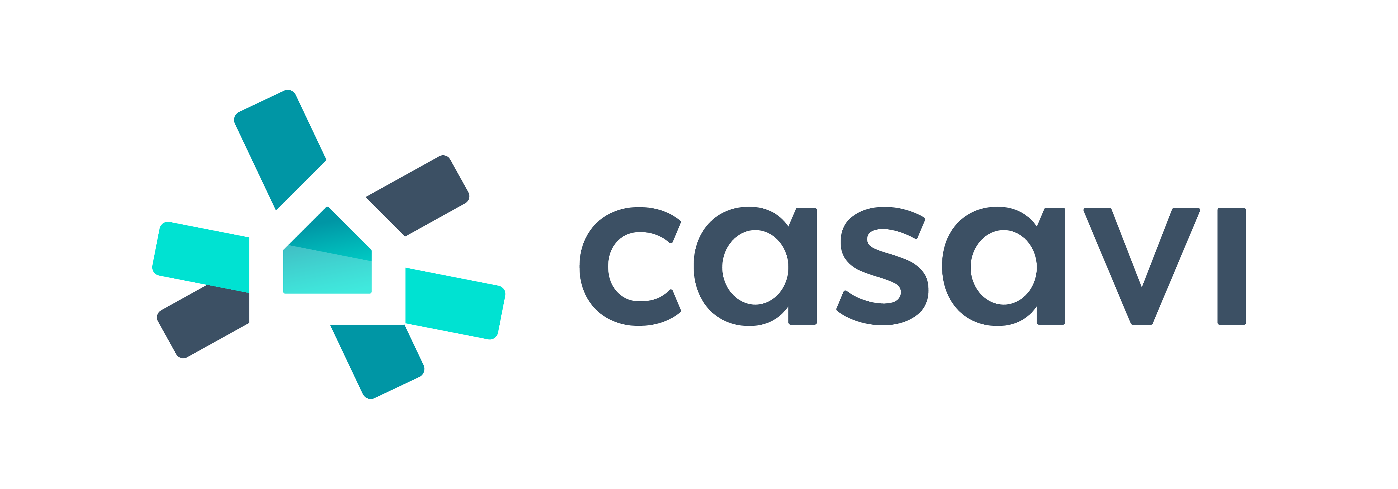 Logo casavi